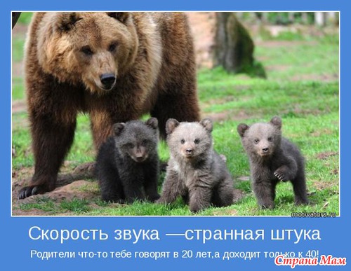 Мотиваторы - 4