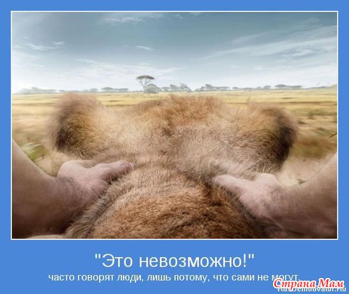 Мотиваторы-5