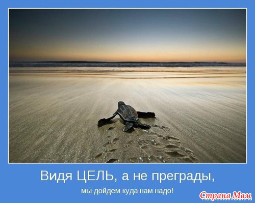 Мотиваторы-5