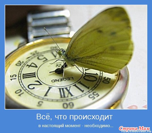 Мотиваторы-5