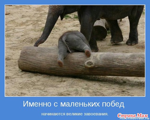 Мотиваторы-5