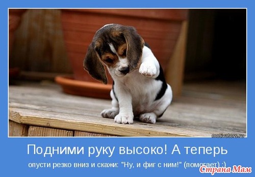 Мотиваторы-5