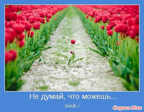 Мотиваторы - 2