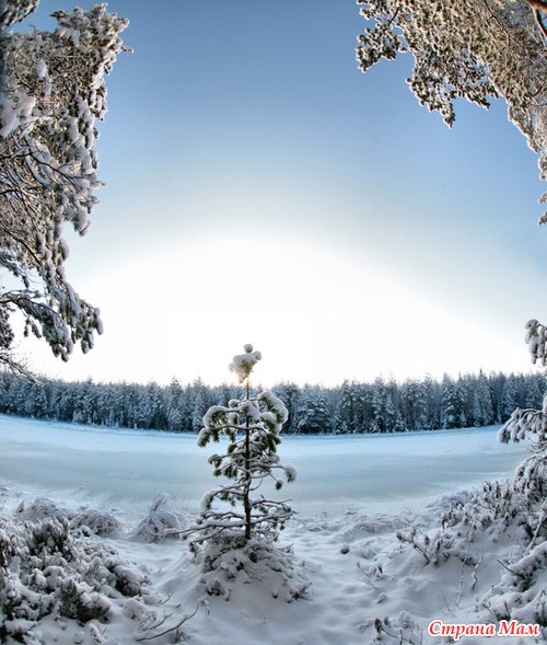 Финский фотограф Kari Liimatainen. Зима во всей красе!