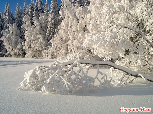 Финский фотограф Kari Liimatainen. Зима во всей красе!