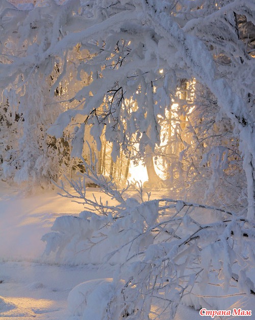 Финский фотограф Kari Liimatainen. Зима во всей красе!