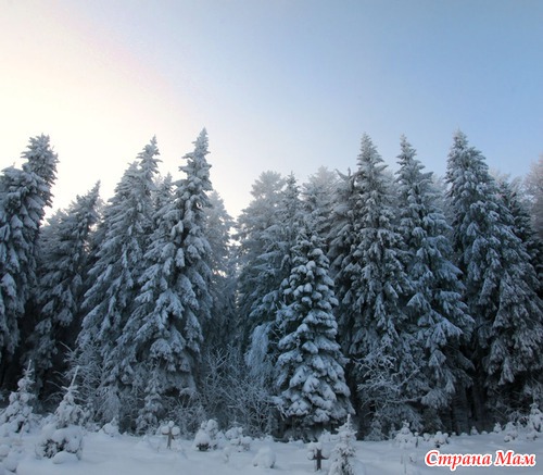 Финский фотограф Kari Liimatainen. Зима во всей красе!
