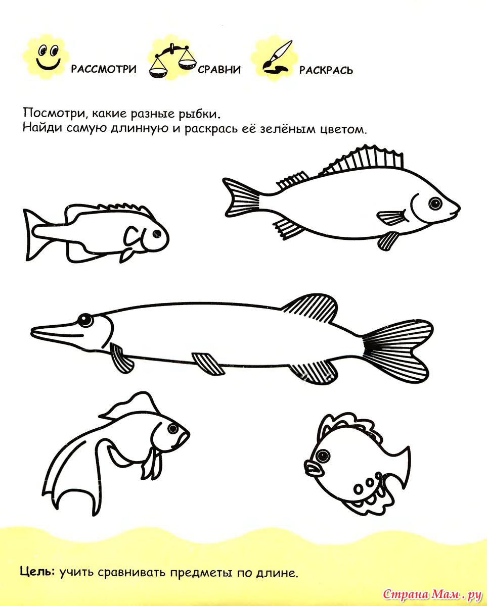 Рыбы для детей 3 4 лет. Рыбы задания для детей. Задания для дошкольников. Рыбы задания для дошкольников. Рыбки задания для детей.