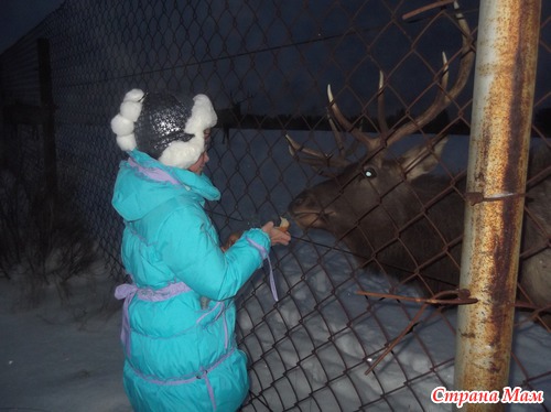 Наша прогулка