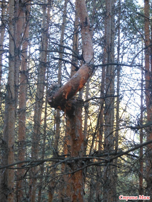 Природа, осень, красота!!!
