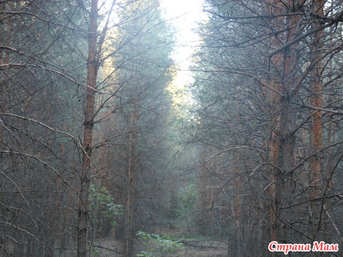 Природа, осень, красота!!!