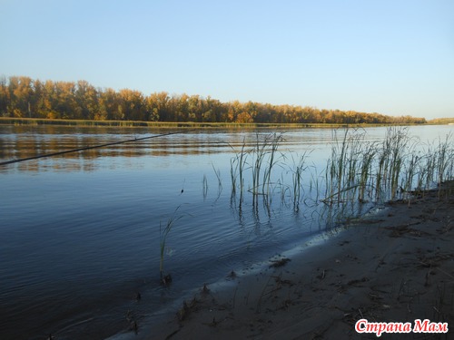 Природа, осень, красота!!!