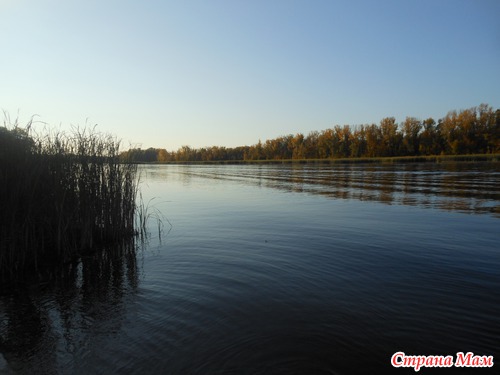 Природа, осень, красота!!!