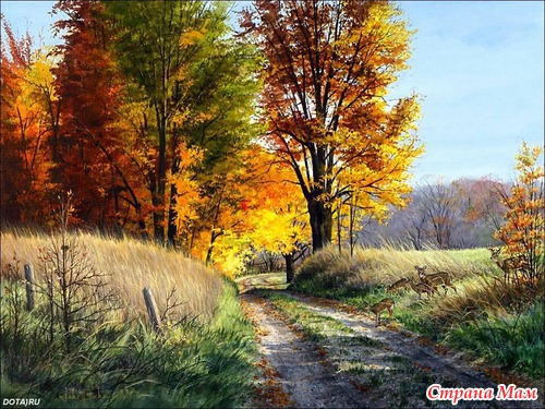 Осеннее БУРИМЕ. Поиграем?
