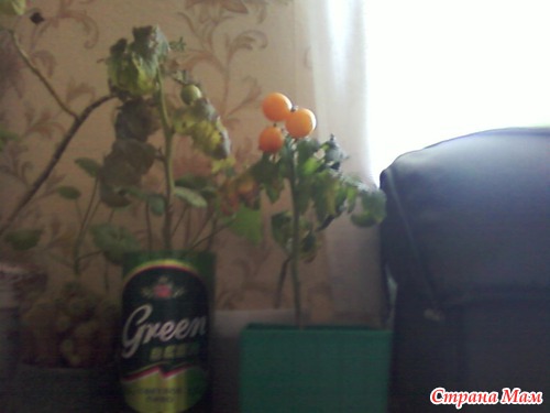 Осень..