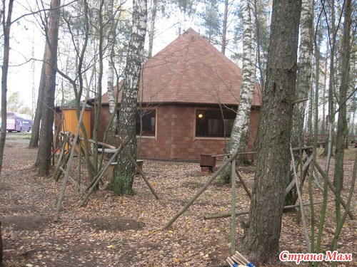 Вот ты какой, северный олень!