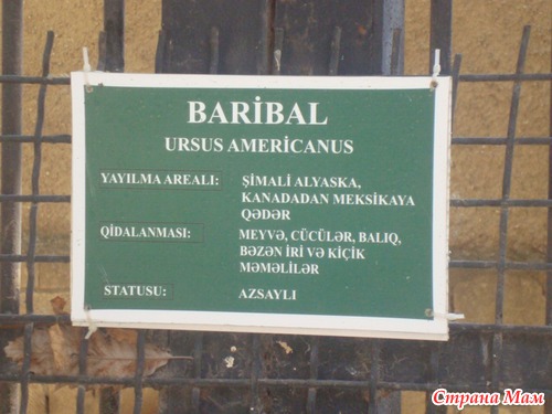 В Зоопарке Интересно!