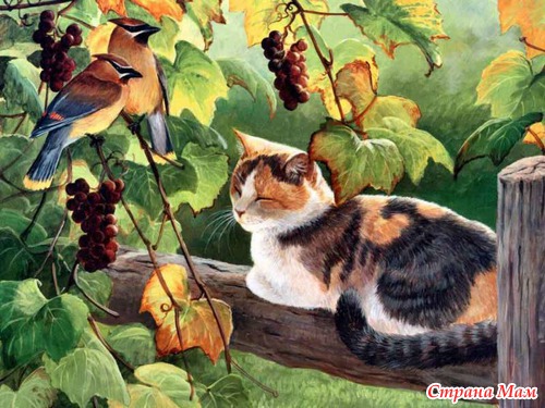 Кошечки, коты, котята... картинки для декупажа