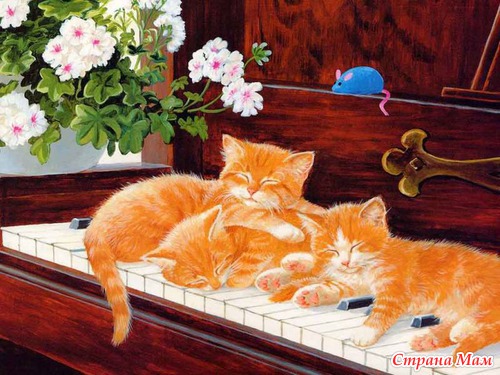Кошечки, коты, котята... картинки для декупажа