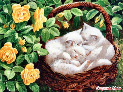 Кошечки, коты, котята... картинки для декупажа