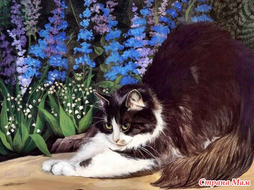 Кошечки, коты, котята... картинки для декупажа