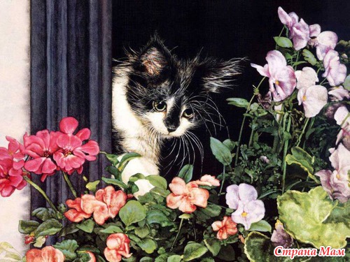 Кошечки, коты, котята... картинки для декупажа