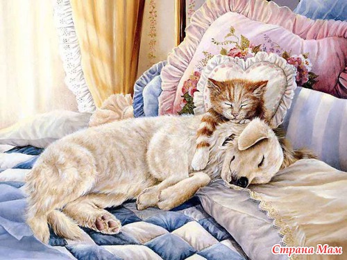 Кошечки, коты, котята... картинки для декупажа
