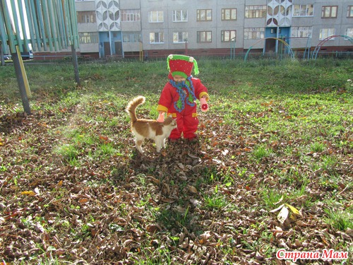 . ���� ���������.