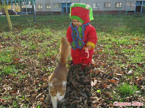 . ���� ���������.