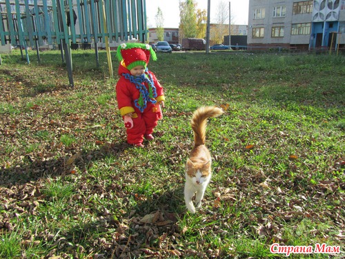 . ���� ���������.