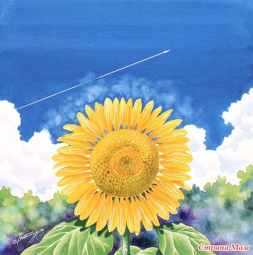 Художник Akira Matsunaga