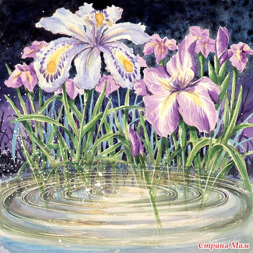 Художник Akira Matsunaga