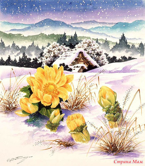 Художник Akira Matsunaga