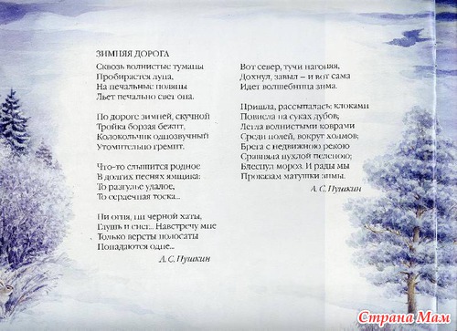 Обзор книг к Новому Году