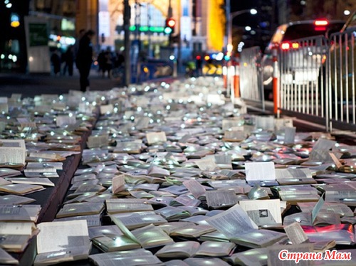   Literature VS Traffic   
