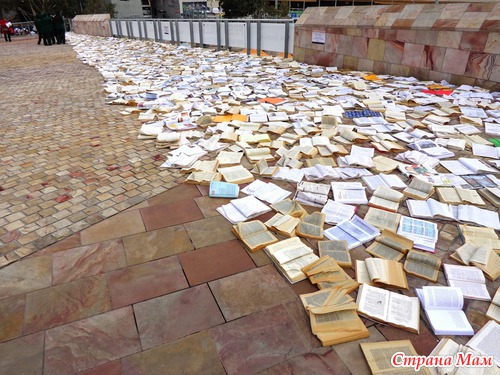   Literature VS Traffic   