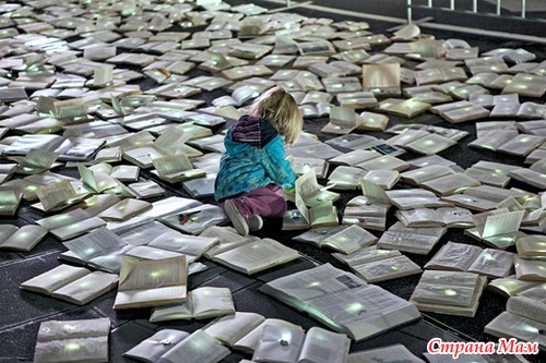   Literature VS Traffic   