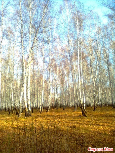 Руды, руды, руды, руды, ры, Я к тебе с поклоном