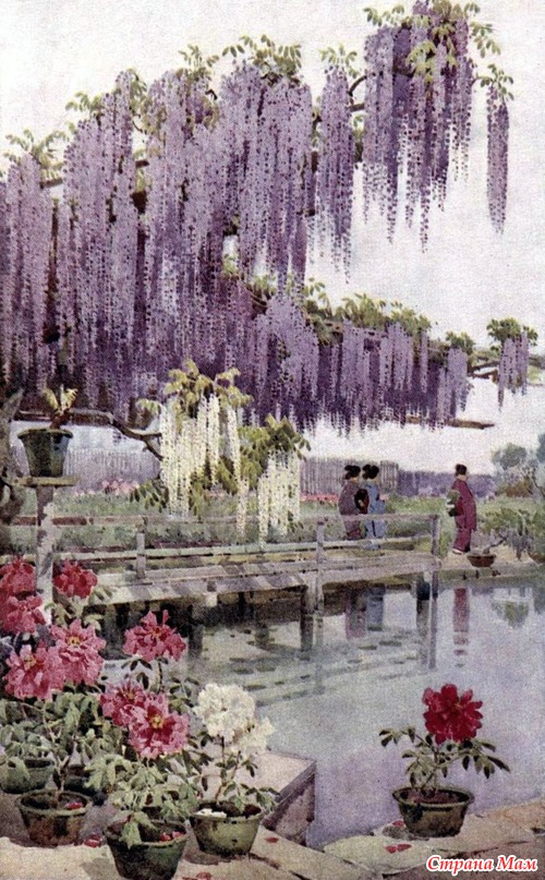    ...  Ella du Cane (1880-1940)