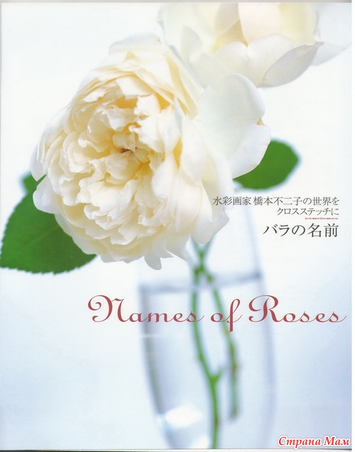       Fujico