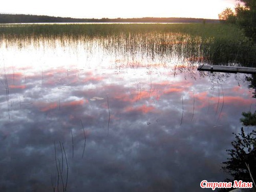 Осколки лета