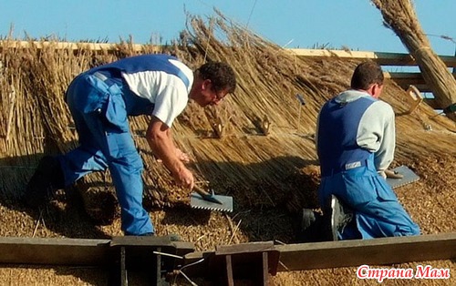 Соломенные крыши английской провинции