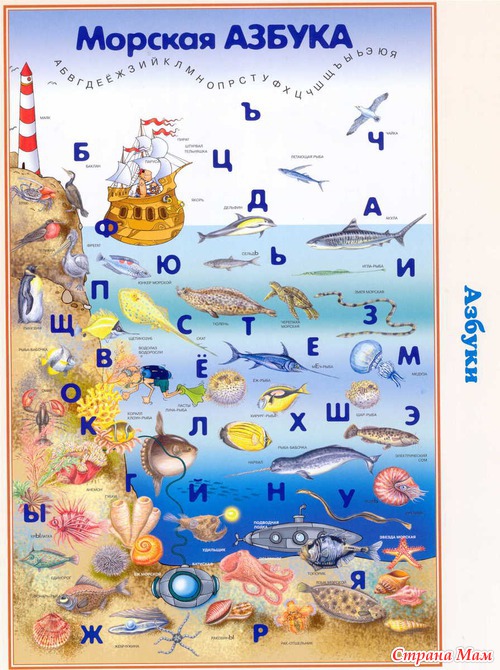 ТД "Кораблик"