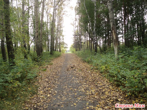 А мы сегодня ходили гулять в старый заброшенный парк :) Осень...