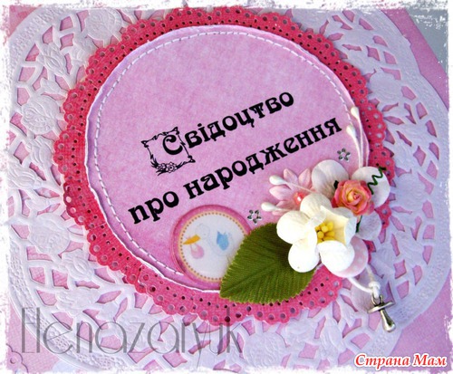 Папки для свидетельства