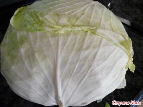 Мальфуф (арабская кухня)