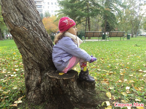 Осенняя прогулка