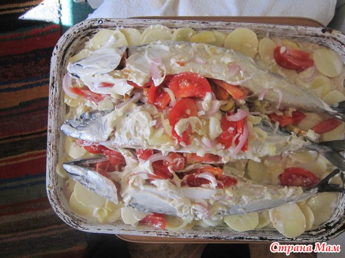 Скумбрия, запечённая с овощами.