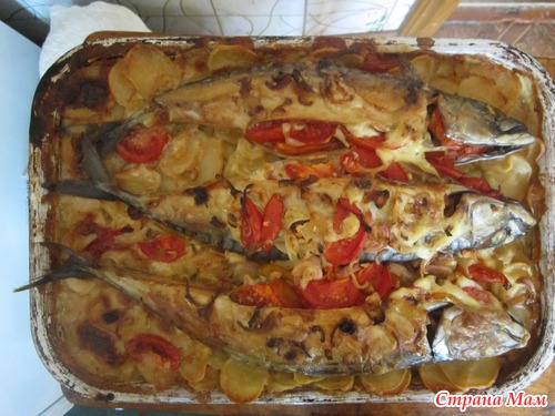 Скумбрия, запечённая с овощами.