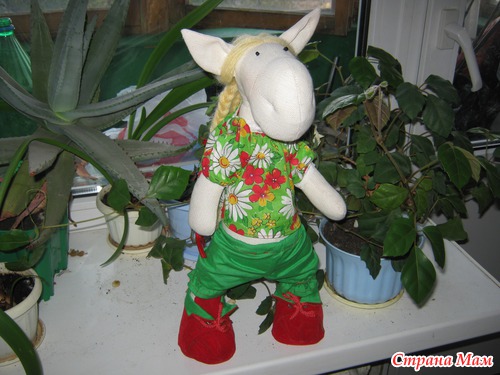Моя лошадка
